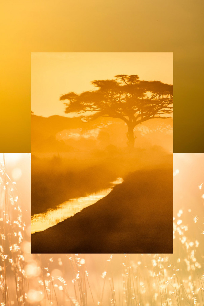 Купити Парфуми AQUALIS 4