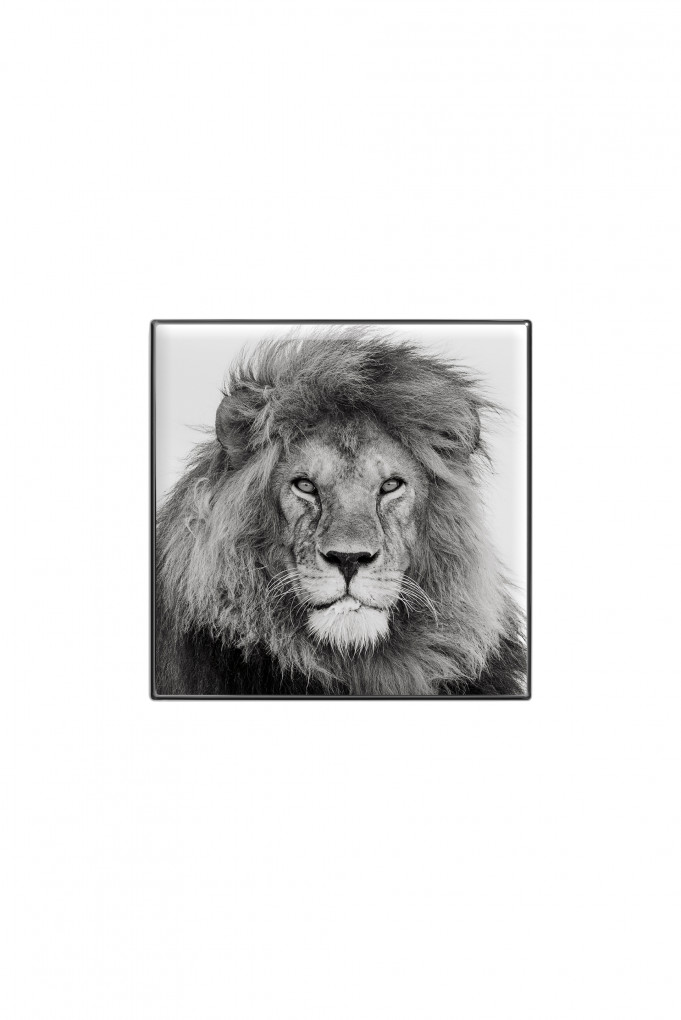 Купити Тіні для повік люмінесцентні Chantecaille 2