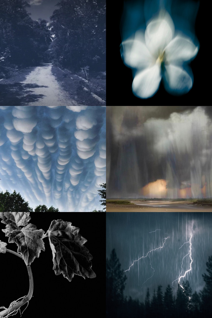 Купити Екстракт парфумерний MAISON CRIVELLI 4