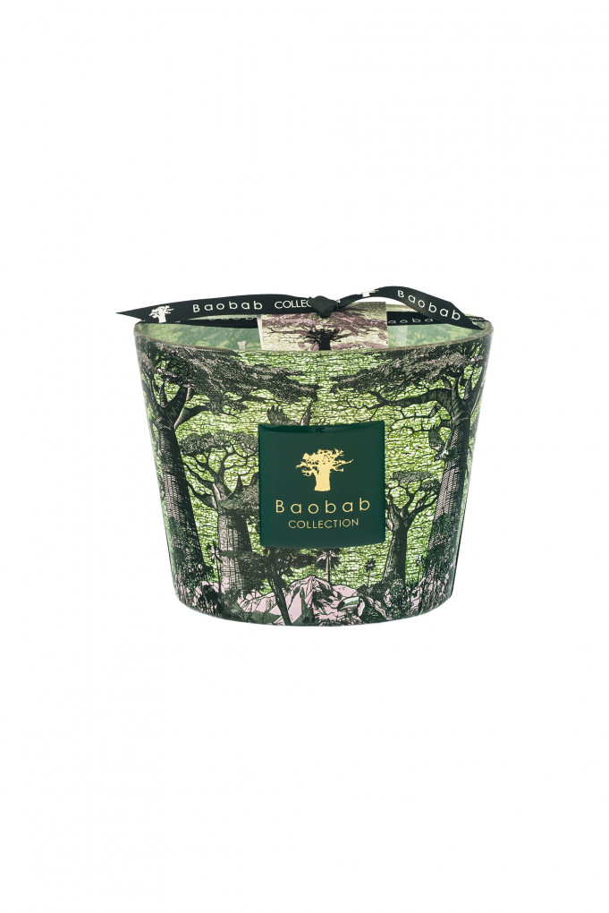 Купити Свічка парфумована Baobab Collection