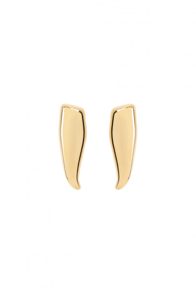 Купити Сережки BOTTEGA VENETA