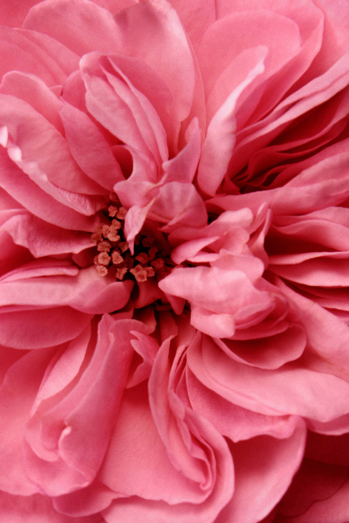 Купити Міцелярна вода для зняття макіяжу з очей Chantecaille 2