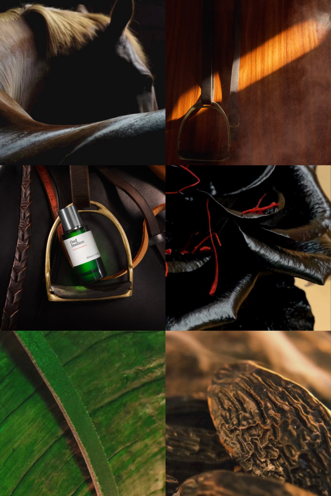 Купити Екстракт парфумерний MAISON CRIVELLI 4