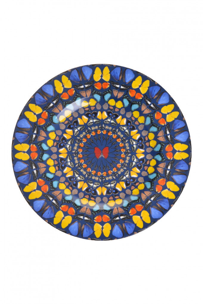 Купити Тарілка Damien Hirst 6