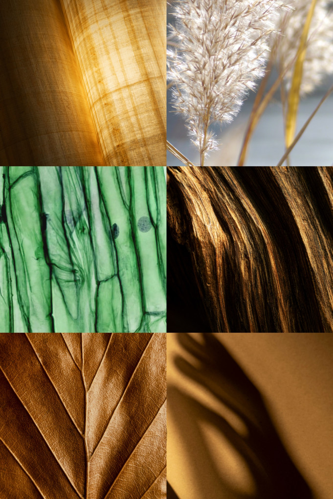 Купити Вода парфумована MAISON CRIVELLI 4