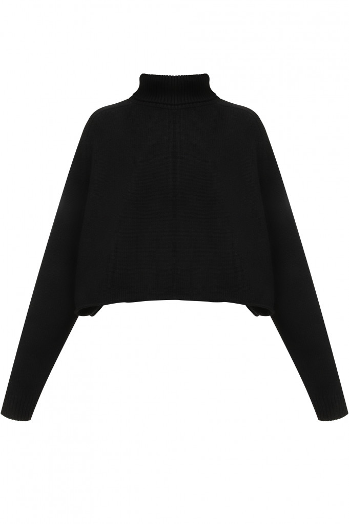 Buy Sweater LISA YANG