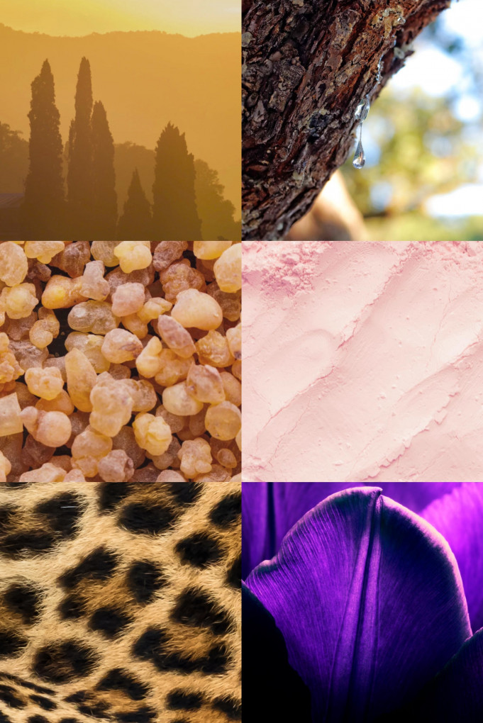 Купити Вода парфумована MAISON CRIVELLI 4