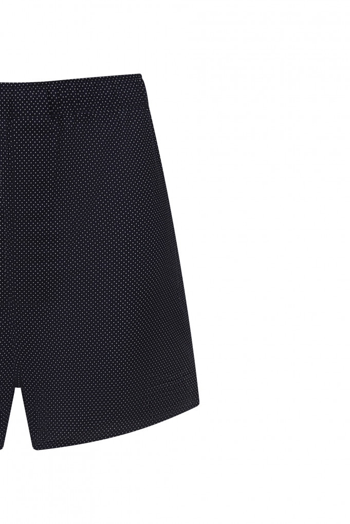 Купити Боксери Derek Rose 2