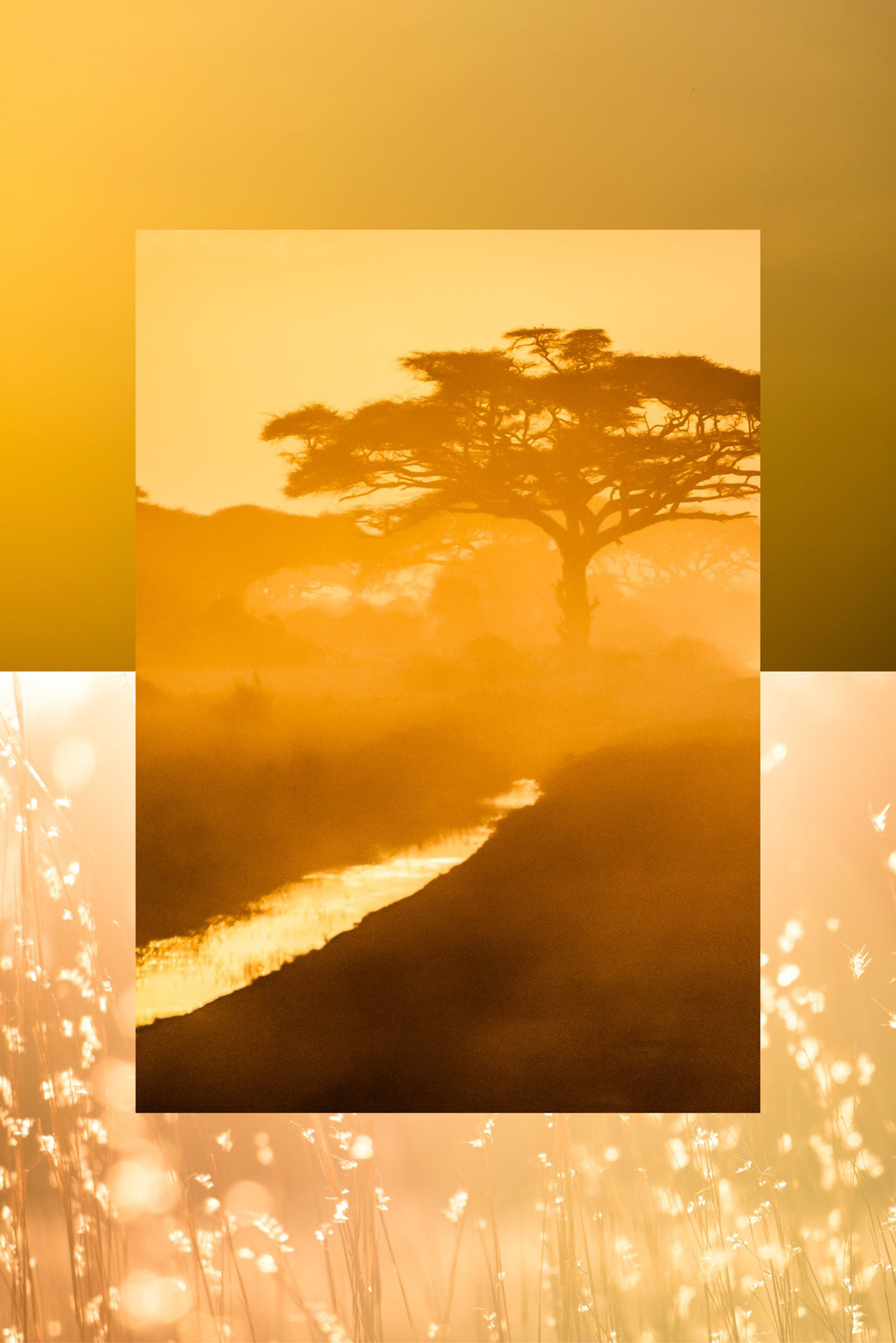 Купити Парфуми AQUALIS 4