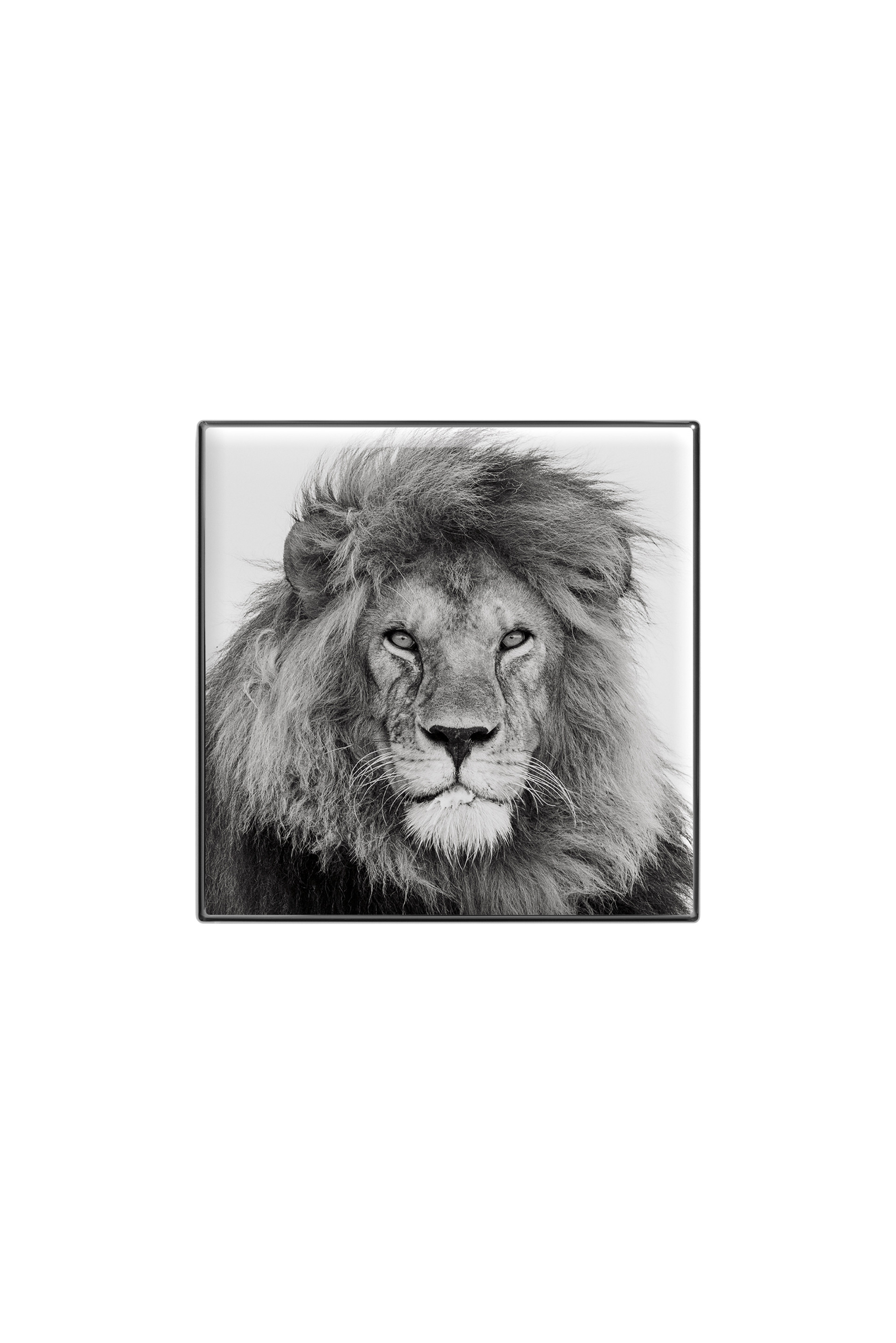 Купити Тіні для повік люмінесцентні Chantecaille 2