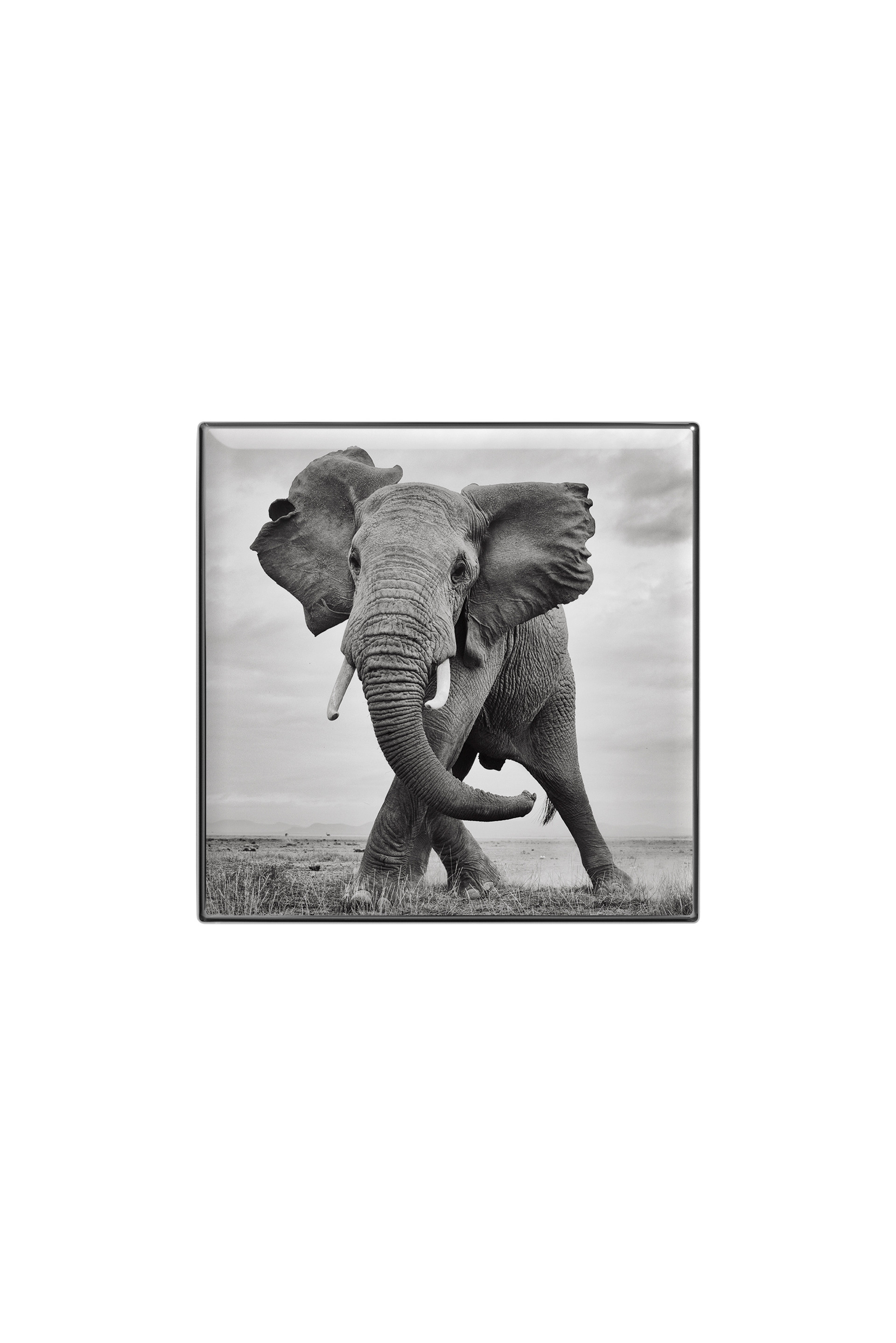 Купити Тіні для повік люмінесцентні Chantecaille 2