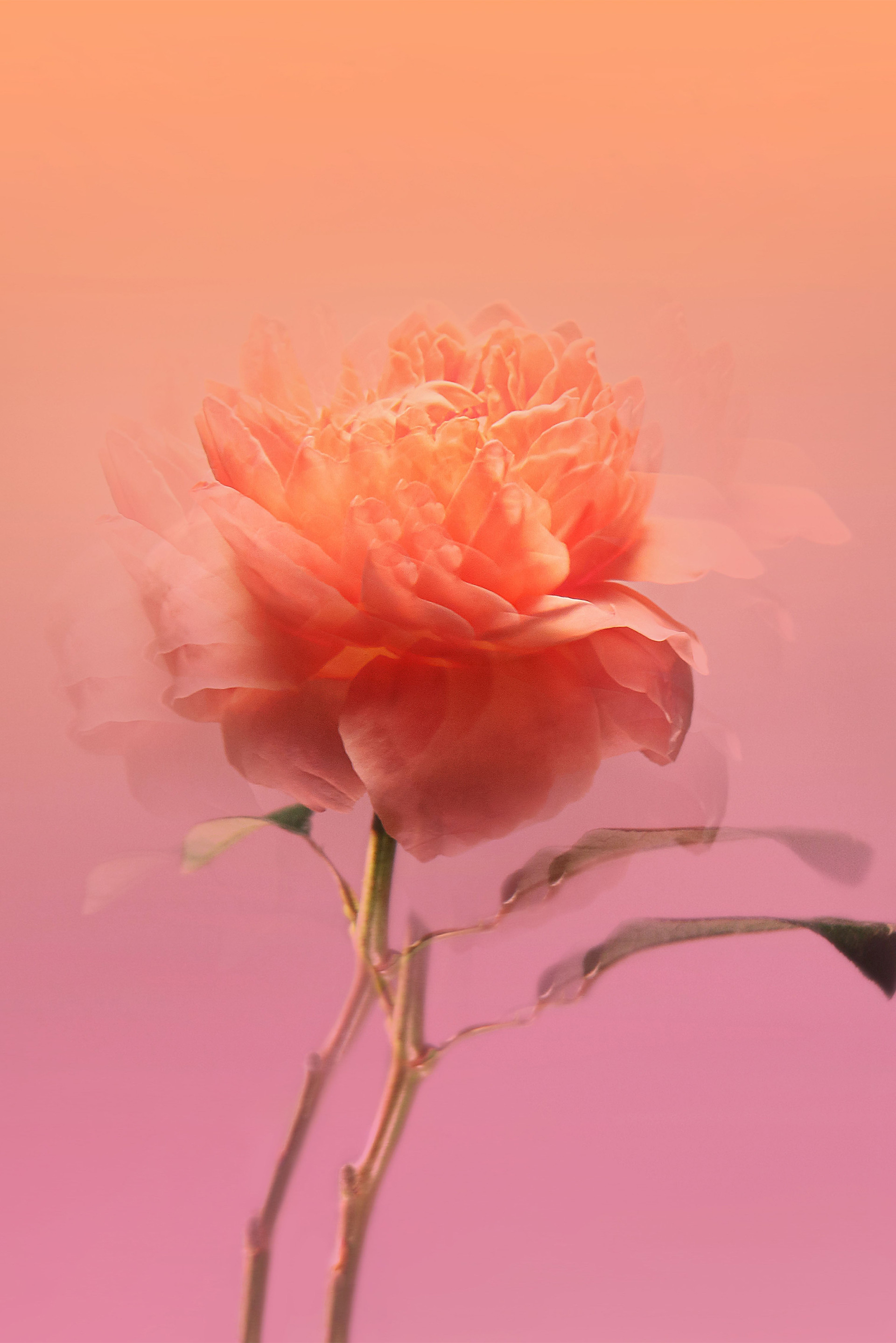 Купити Вода парфумована BDK Parfums Paris 4