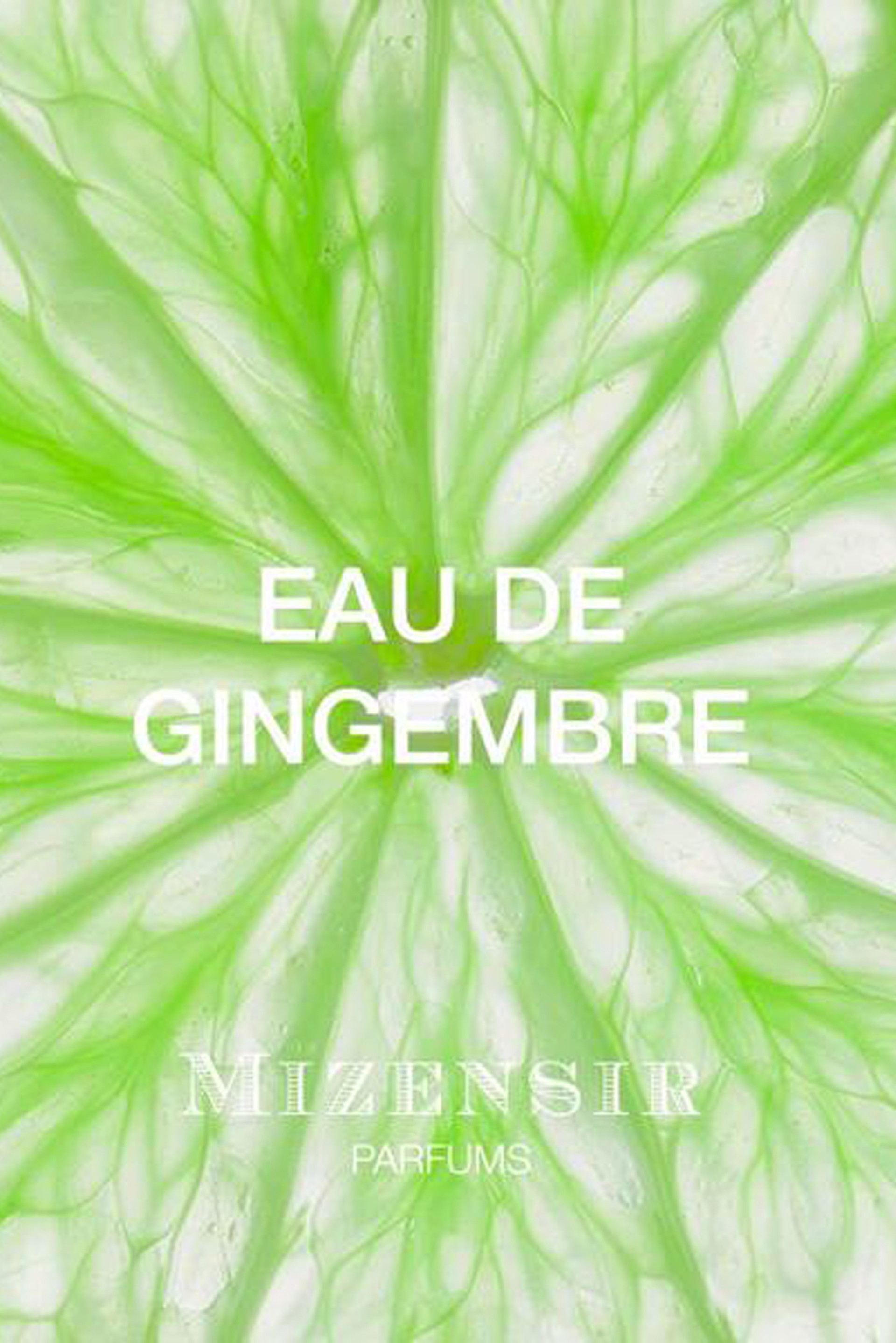 Купить Вода парфюмированная Mizensir 3