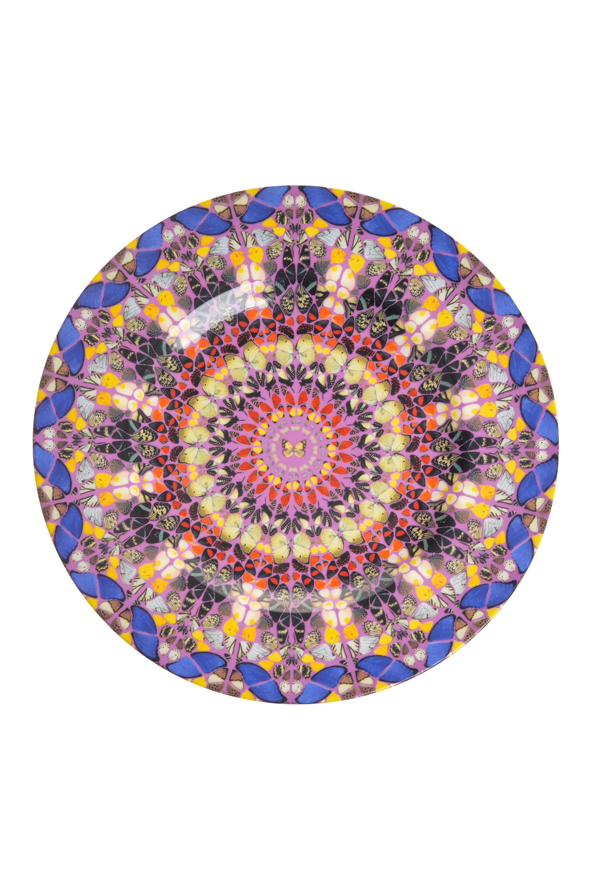 Купити Тарілка Damien Hirst 7