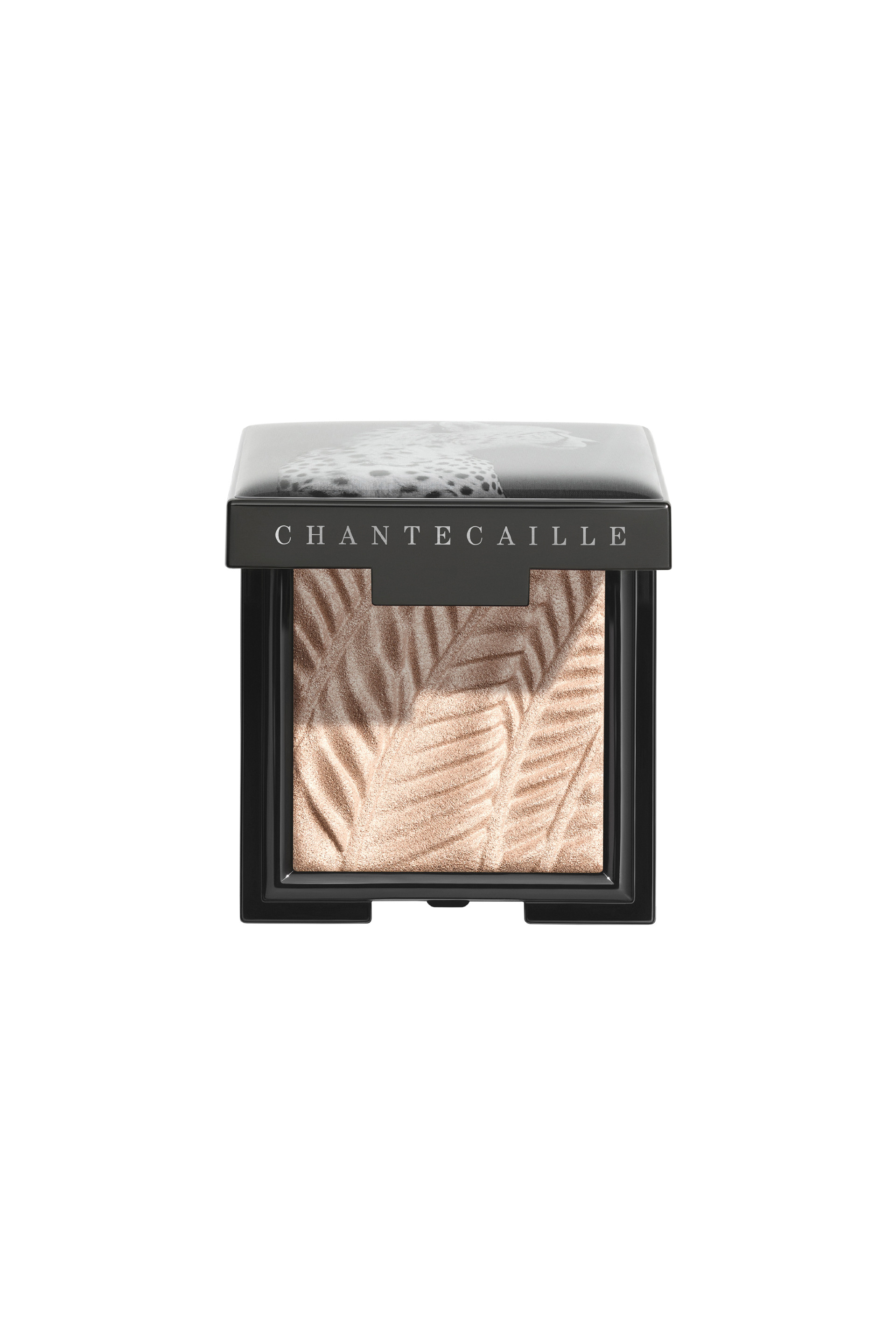 Купити Тіні для повік люмінесцентні Chantecaille