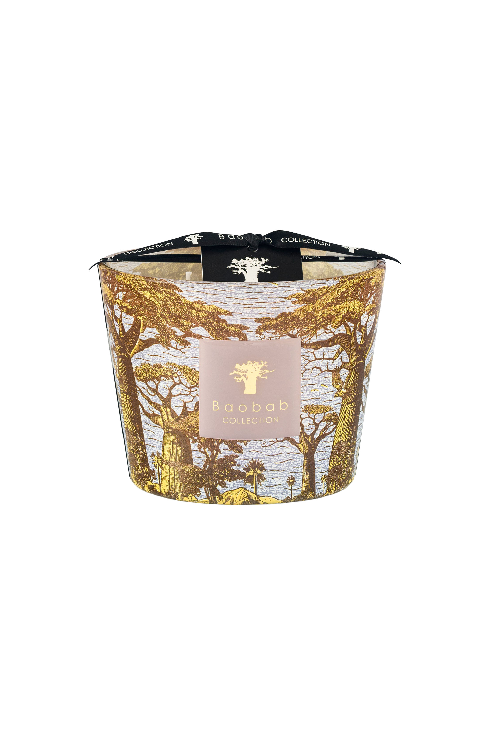 Купити Свічка парфумована Baobab Collection
