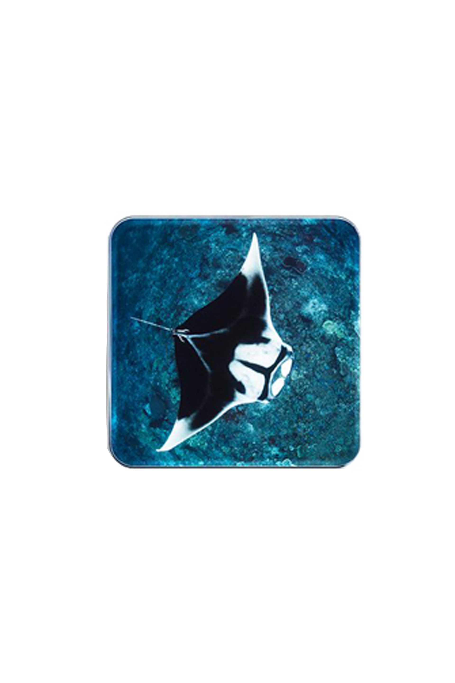 Buy Set of cheek cosmetics Chantecaille 2