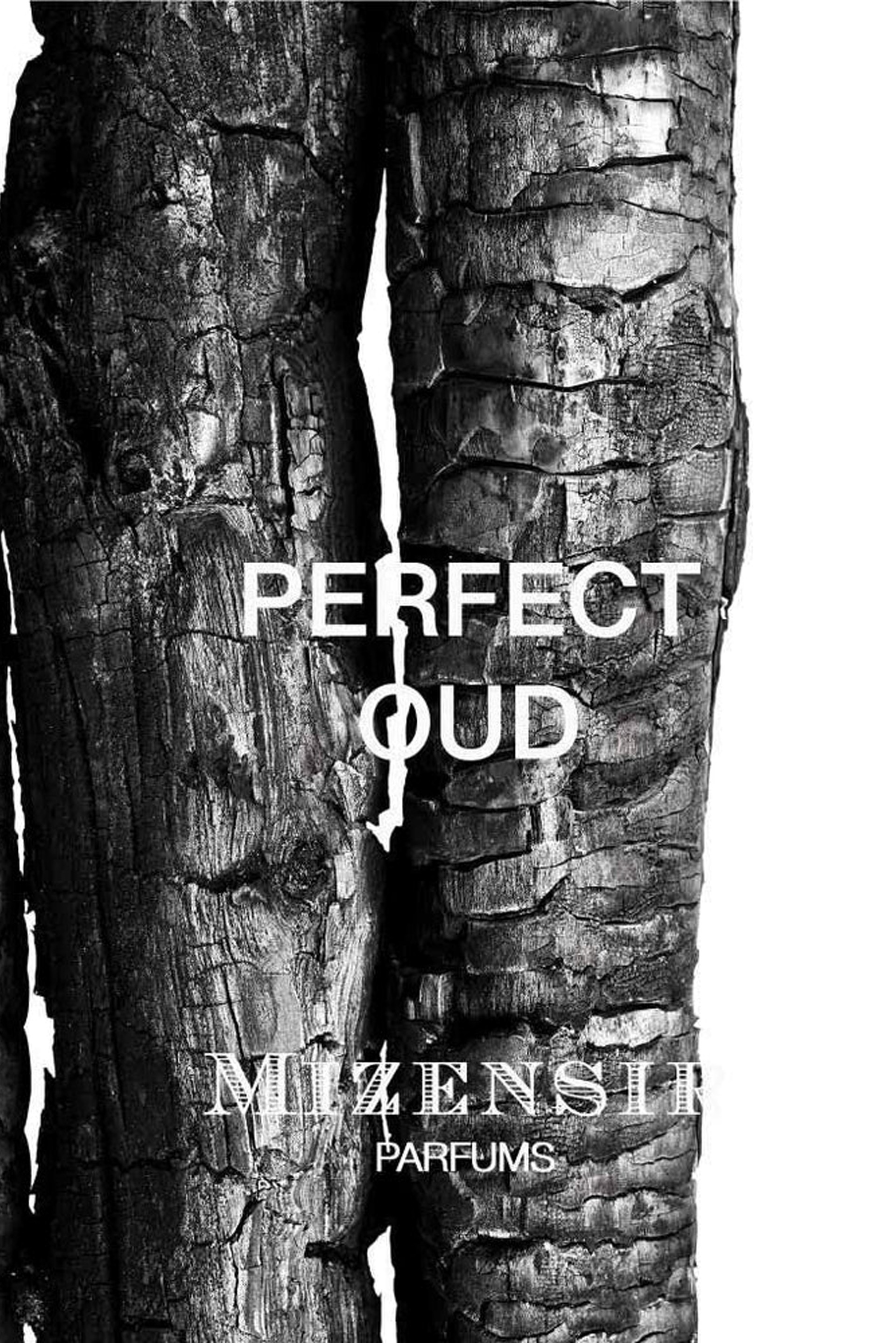 Buy Eau de Parfum Mizensir 3