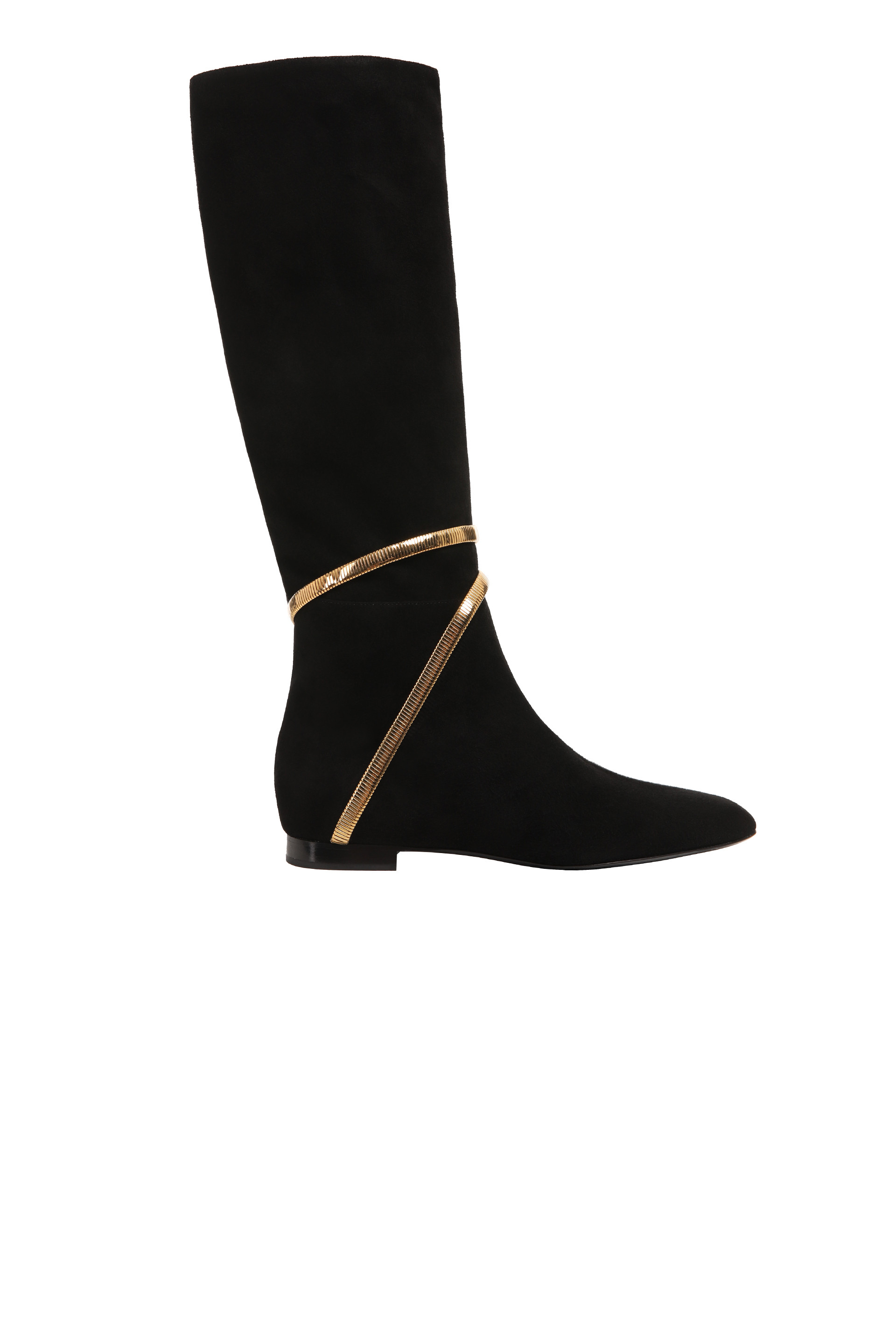 Купити Чоботи RENE CAOVILLA