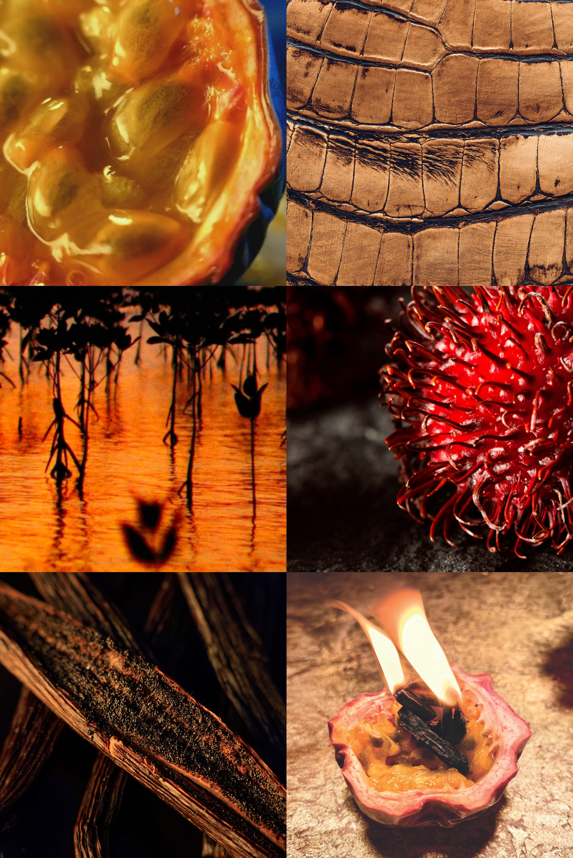 Купить Экстракт парфюмерный MAISON CRIVELLI 4