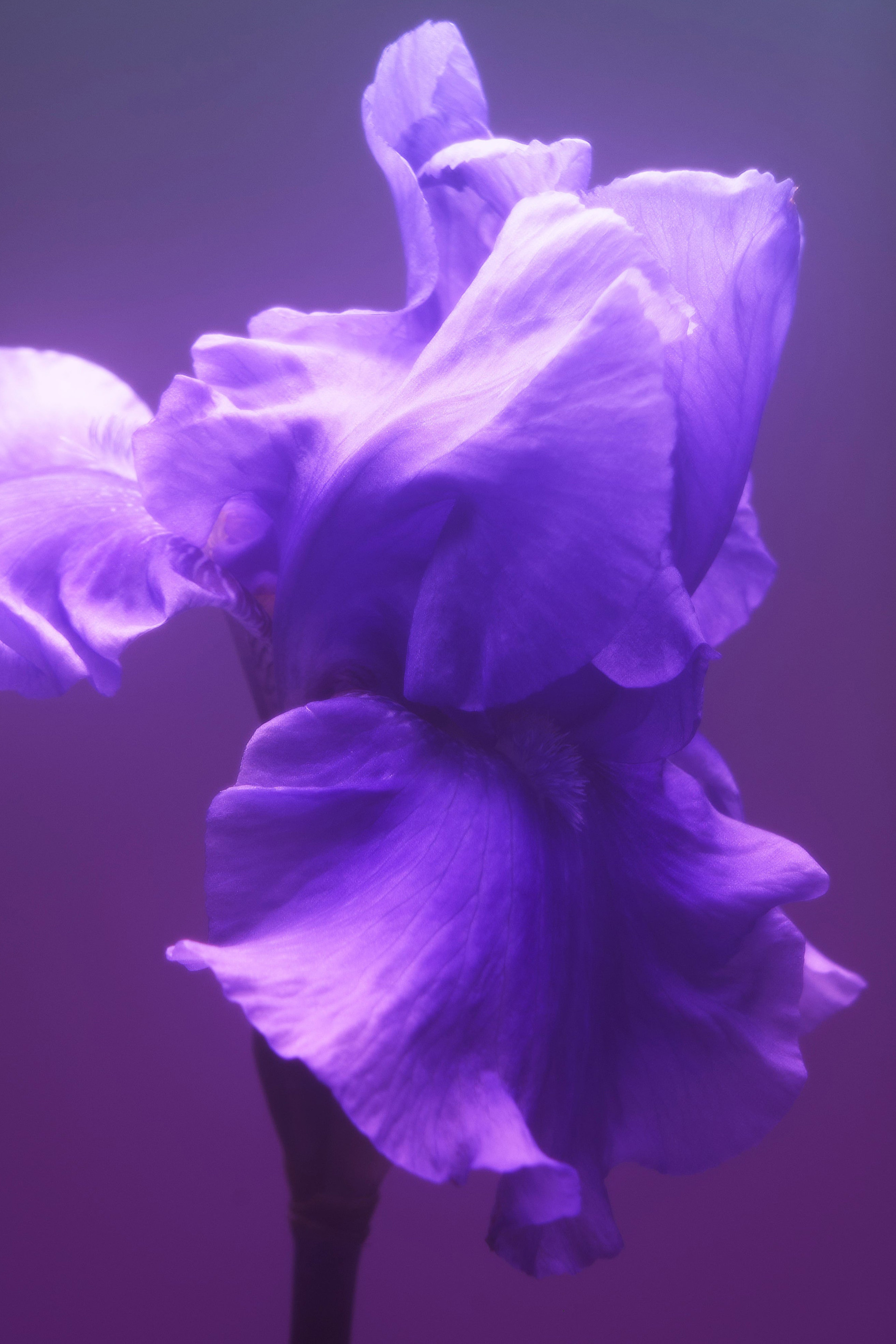 Купити Вода парфумована BDK Parfums Paris 5