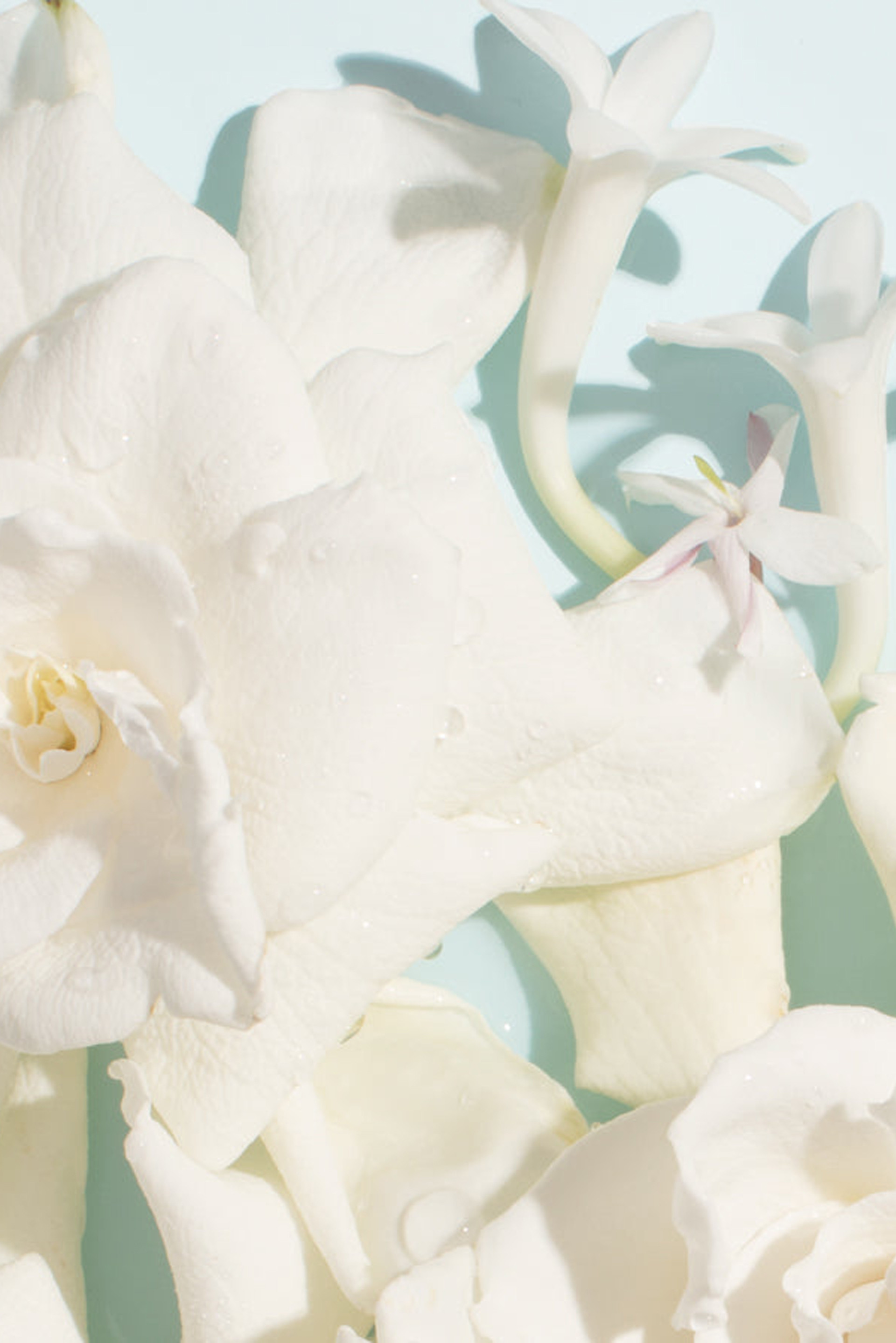 Купити Вода парфумована Chantecaille 2