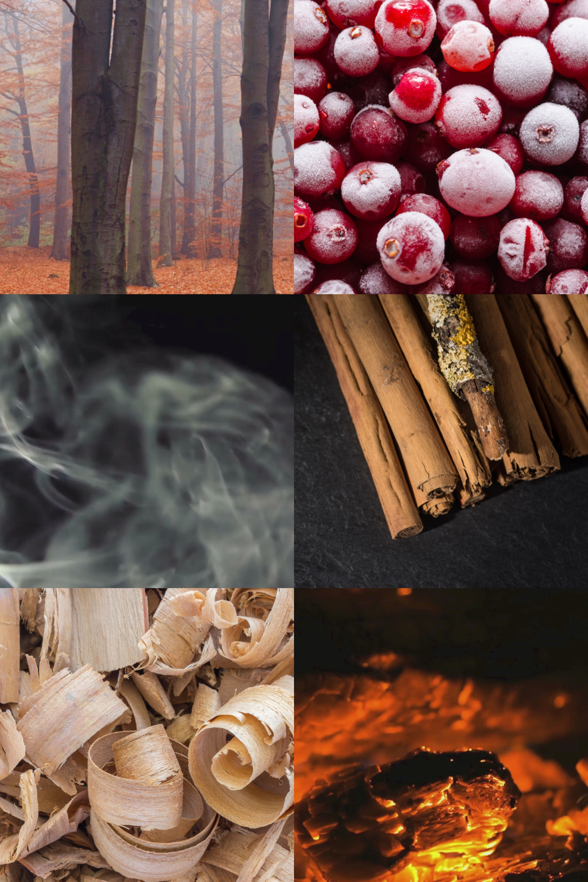 Купити Вода парфумована MAISON CRIVELLI 4