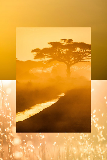 Купити Парфуми AQUALIS 3