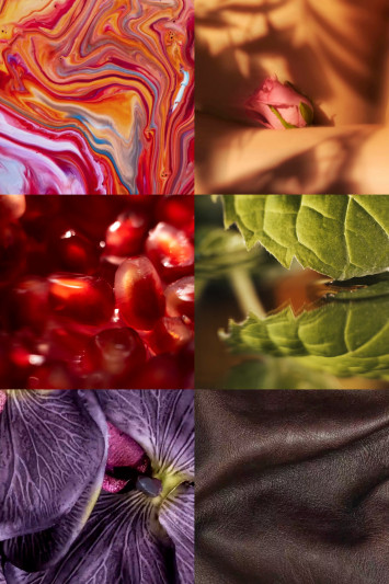 Купити Екстракт парфумерний MAISON CRIVELLI 3