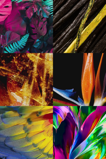 Купити Екстракт парфумерний MAISON CRIVELLI 3