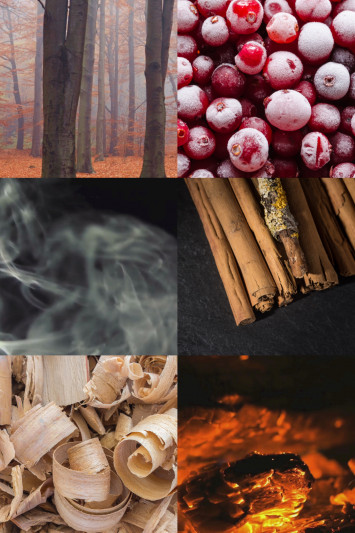 Купить Вода парфюмированная MAISON CRIVELLI 3