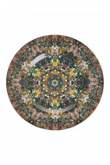 Купити Тарілка Damien Hirst 4